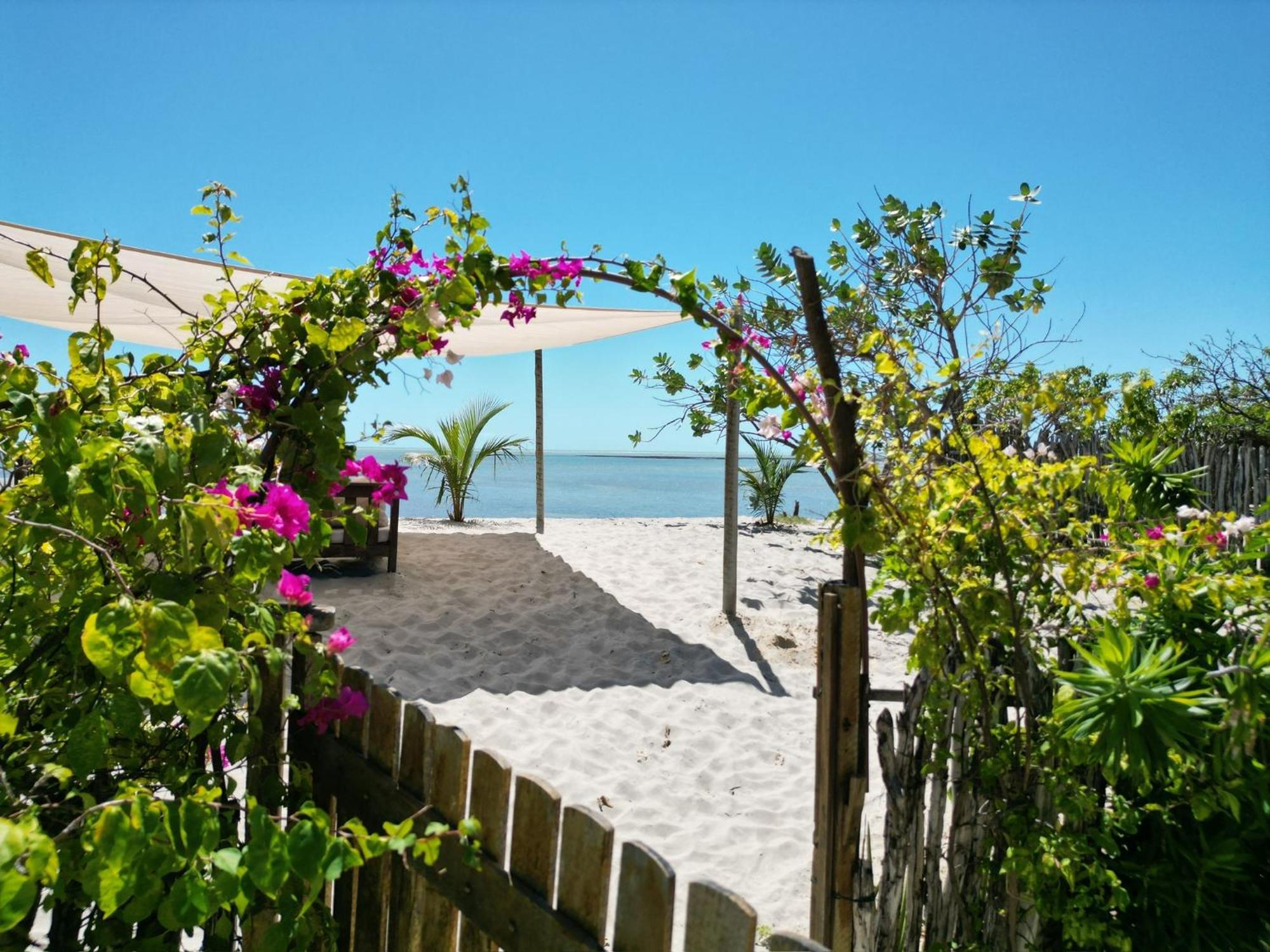 Casa Camurupim Barra Grande  Ngoại thất bức ảnh